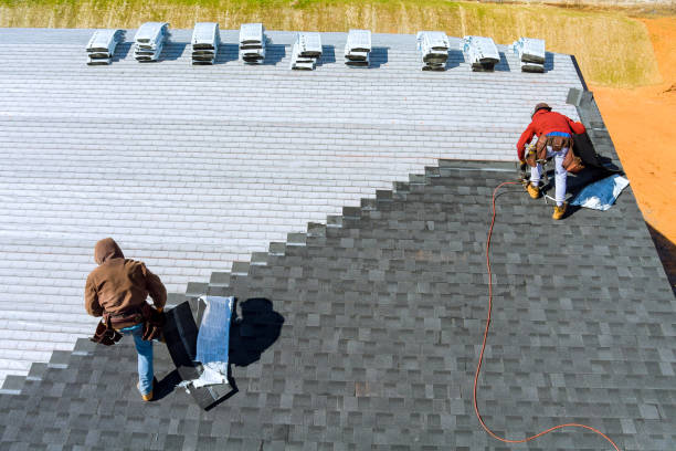 Best Roof Gutter Cleaning  in Mineralwells, WV